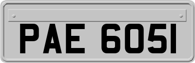 PAE6051