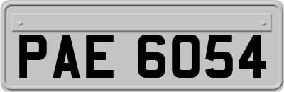 PAE6054
