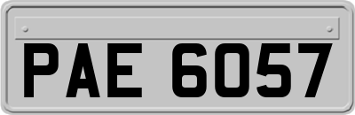 PAE6057