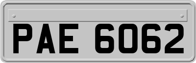 PAE6062