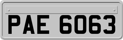 PAE6063