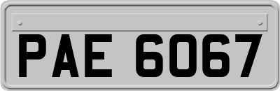 PAE6067