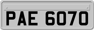 PAE6070