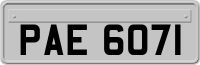 PAE6071
