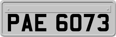 PAE6073