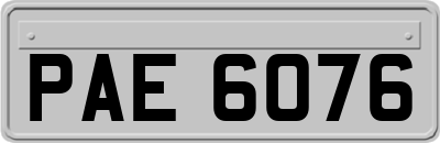 PAE6076