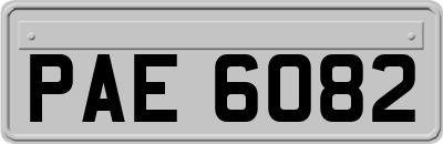 PAE6082