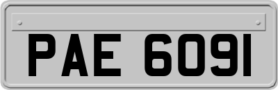 PAE6091