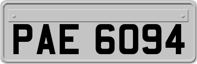PAE6094