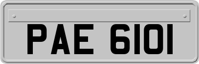 PAE6101
