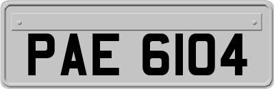 PAE6104