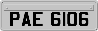 PAE6106