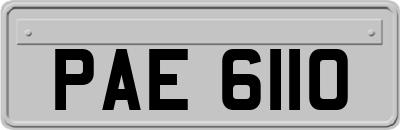 PAE6110