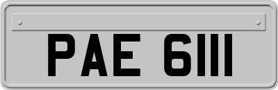 PAE6111