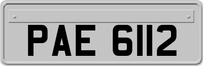PAE6112