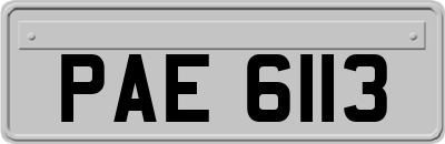 PAE6113