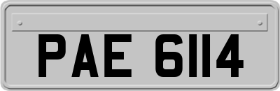 PAE6114