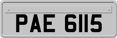 PAE6115