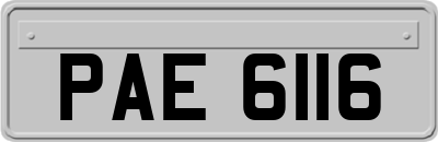 PAE6116