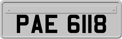 PAE6118