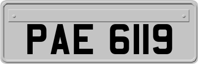 PAE6119