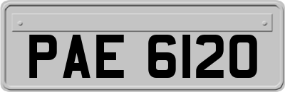 PAE6120
