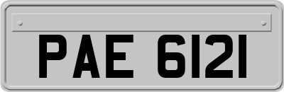 PAE6121