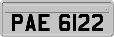 PAE6122