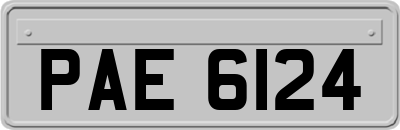 PAE6124