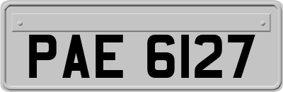 PAE6127