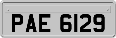 PAE6129
