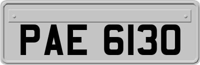 PAE6130