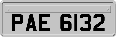 PAE6132