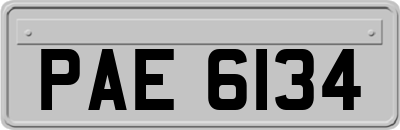 PAE6134