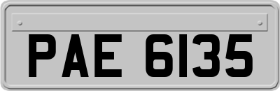PAE6135