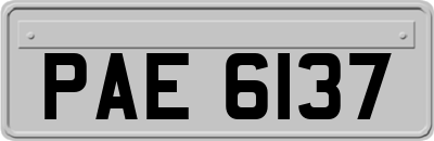 PAE6137
