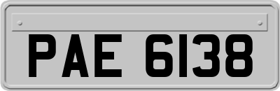 PAE6138