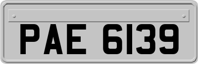 PAE6139