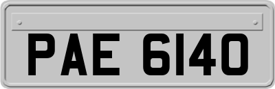 PAE6140