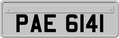 PAE6141