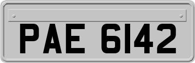 PAE6142