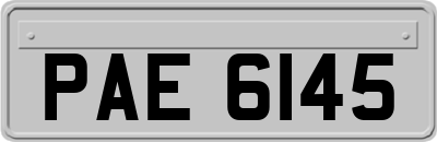 PAE6145