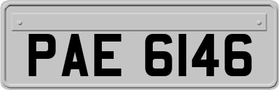 PAE6146