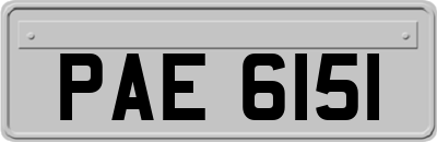 PAE6151