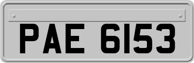 PAE6153