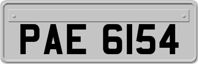 PAE6154