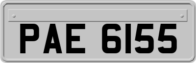 PAE6155