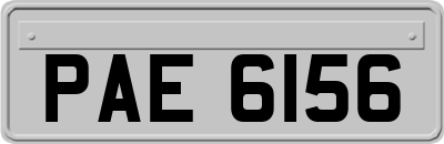 PAE6156