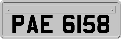 PAE6158