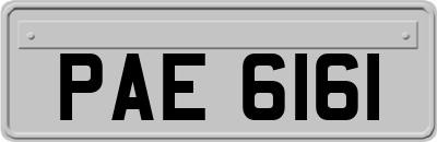 PAE6161